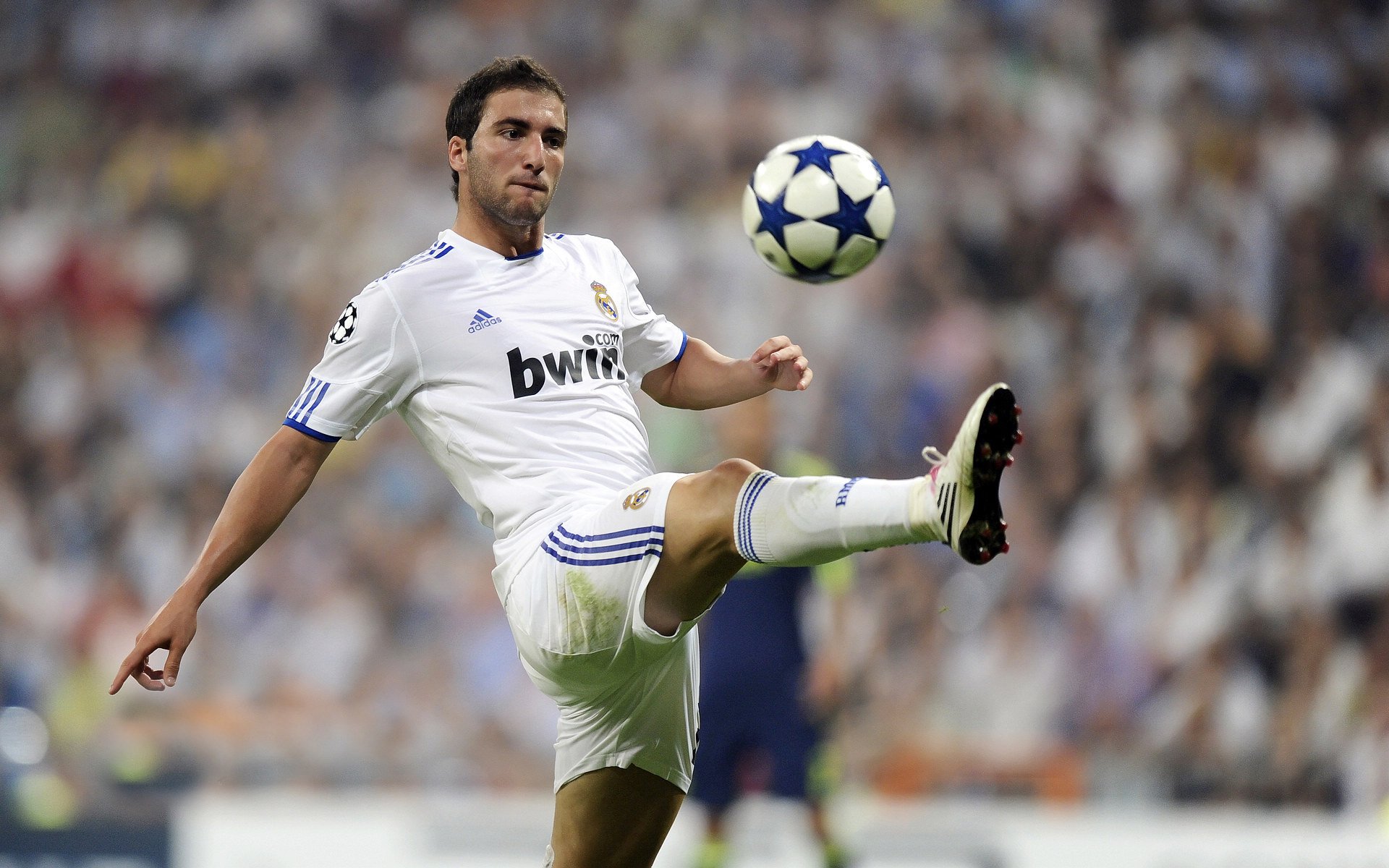 戴维·帕特森精准的球场预判和战术部署，为袋鼠队扫除障碍，戴维 帕尔马特